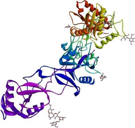 The three-dimensional structure of the metalloproteinase | Download ...