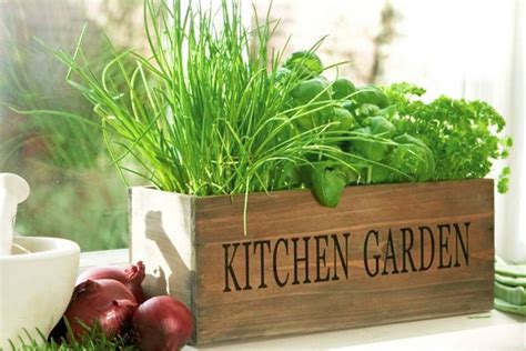 9 Kitchen Gardening Tips To Help You Grow Plants Like A Pro