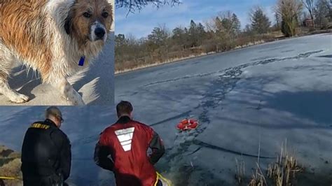 Racine County ice rescue, man, 2 dogs went into pond | FOX6 Milwaukee