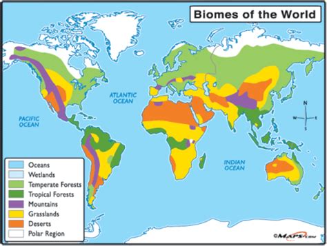Desert Biome - Biome Map