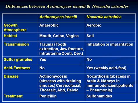 Actinomyces treatment antibiotics