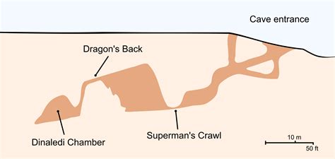 Dinaledi Chamber, Rising Star Cave (Illustration) - World History Encyclopedia