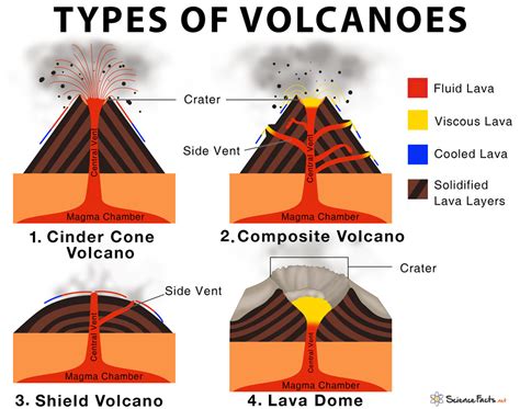 Eruption Types