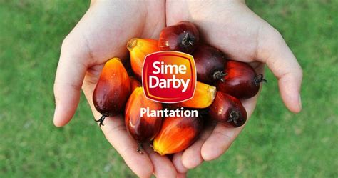 Sime Darby Plantation 9 Month Profits Reach RM1.93 billion, Local Production Down 27%