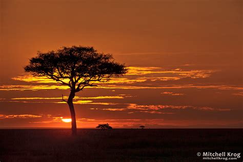 Iconic African Sunrise - Landscape Photos of Maasai Mara, Kenya