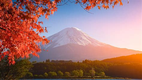 Autumn in Japan, red, mountain, japan, autumn, japanese, nature ...