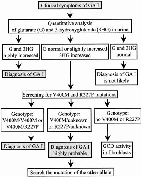 Glutaryl-CoA Dehydrogenase Deficiency in Spain: Evidence of Two Groups ...