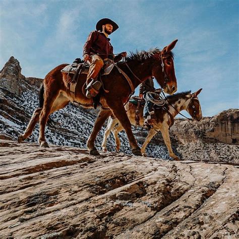 Broncs And Donks on Instagram: “In sync 🔥 #broncsanddonks @mule_country @tylerolsenm @bret_olsen ...