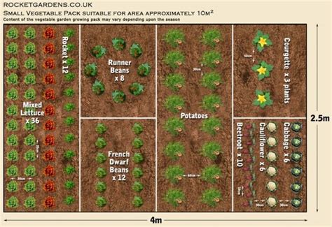 19 Vegetable Garden Plans & Layout Ideas