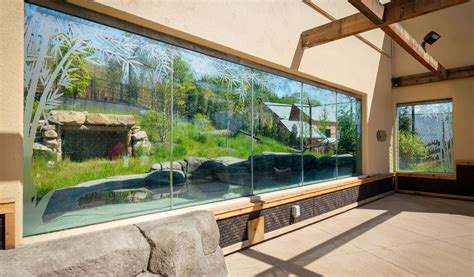 Animal Enclosure Design for the Akron Zoo Hasenstab Architects ...