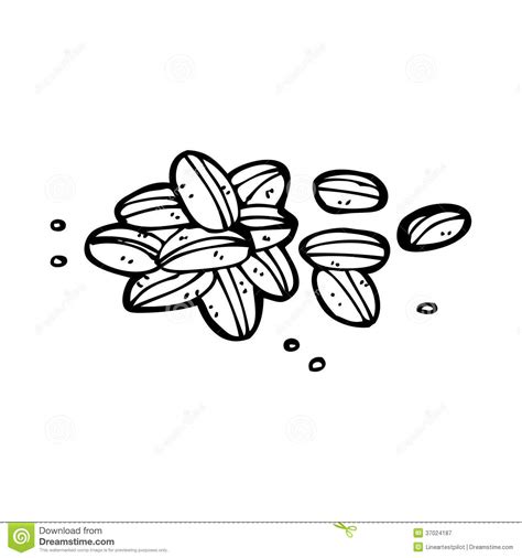 seeds clipart black and white 20 free Cliparts | Download images on Clipground 2024