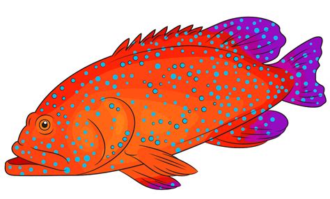 grouper clipart 10 free Cliparts | Download images on Clipground 2024