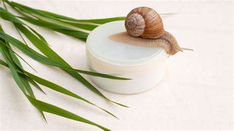 What Step Should Snail Mucin Be In Your Skincare Routine?