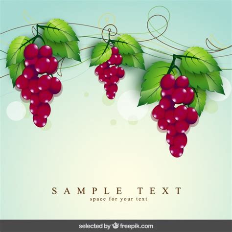 Grape Vine Border Vector at Vectorified.com | Collection of Grape Vine ...