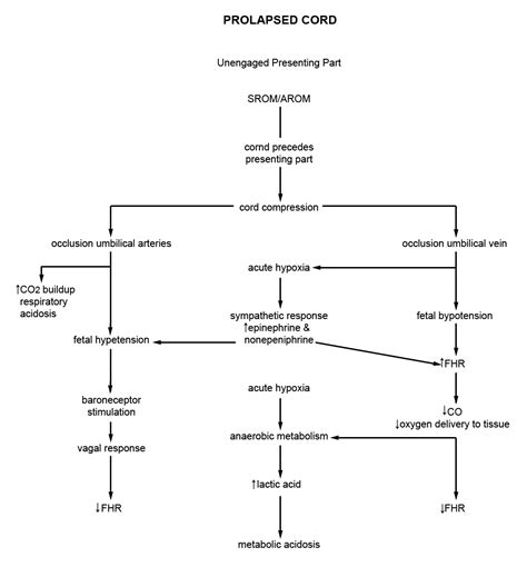 Pathophysiology: PROLAPSED CORD - Pathopgysiology