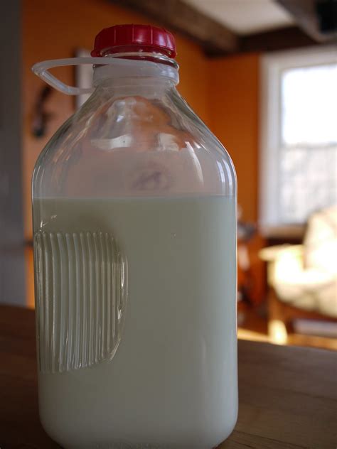 Yogurt - Cow milk | Organic, whole milk from Rockbottom Farm… | Rebecca Siegel | Flickr