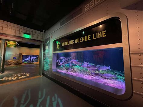 An Interactive, NYC-themed Aquarium Is Opening This Week in the ...