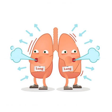 Breathing Lungs Character Vector Illustration | Cartoon styles, Lunges ...