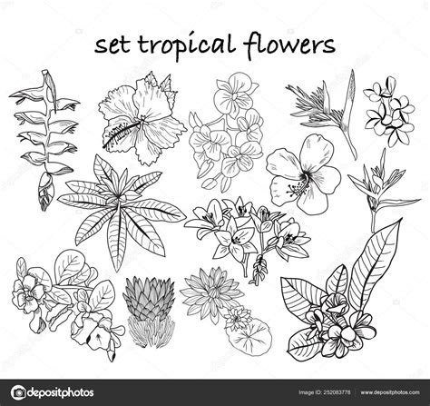 Rainforest Plants And Flowers Coloring Pages | Best Flower Site