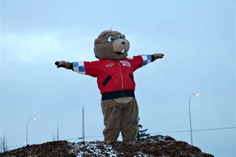 Groundhog Day Celebrations in Canada – 2024
