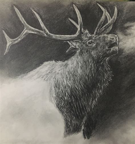 Elk by RudolfHima on DeviantArt