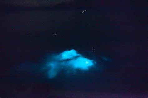 Intrepid Adventures in the Quest for Knowledge: Kayaking in the Bioluminescent Bay in Fajardo ...