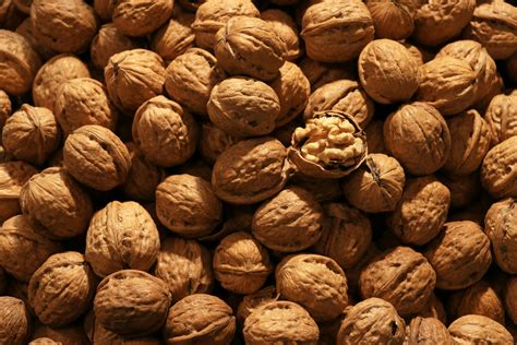 Free stock photo of nuts, walnut, walnuts