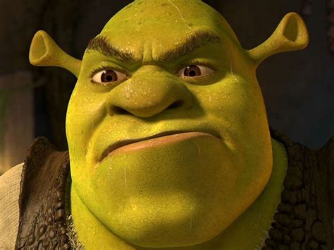 Shrek Angry Face