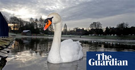 Snowy scenes across Britain – in pictures | UK news | The Guardian