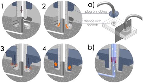 (1)–(4) Schematic illustration of the interference fit mechanism. First ...