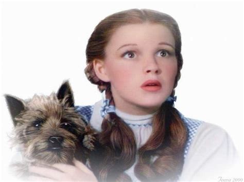 Dorothy and Toto 💕 - The Wizard of Oz Wallpaper (40278850) - Fanpop ...