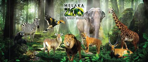 Zoo Melaka - Minhakim Travels Sdn Bhd