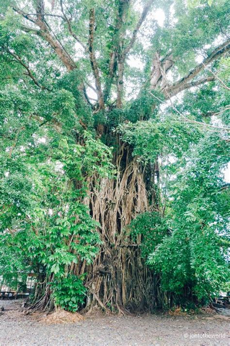 10 Best BALER TOURIST SPOTS (History, Heritage & Surfing)