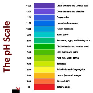 Ph Scale Examples