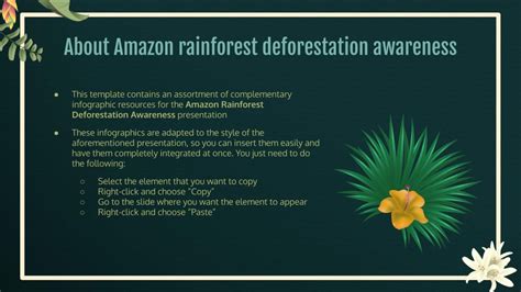 Amazon Rainforest Deforestation Awareness Infographics