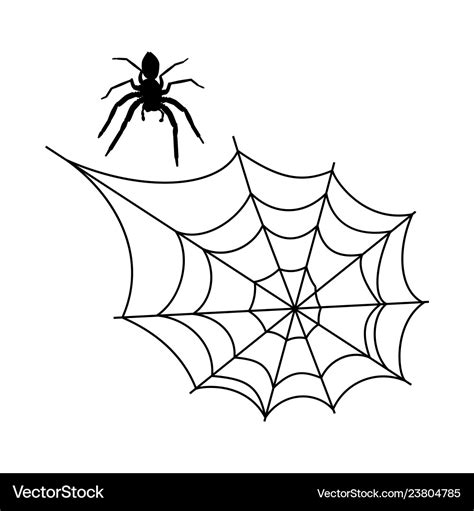 Halloween spider web Royalty Free Vector Image