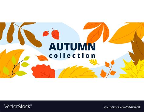 Autumn leaves banner isolated leaf october fall Vector Image