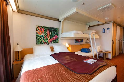 Deluxe Oceanview Cabin on Carnival Magic Cruise Ship - Cruise Critic