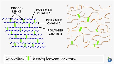 Cross-linking - Definition and Examples - Biology Online Dictionary