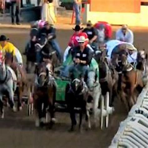 Do horses get killed after races? - DIY Seattle