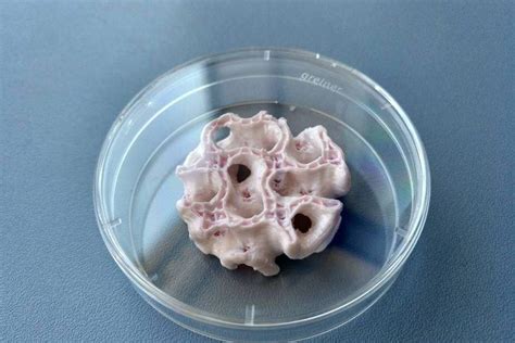 Scaffold for Tissue Engineering Bone and Cartilage