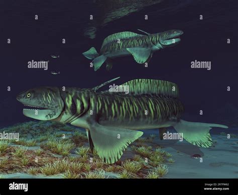 Prehistoric shark Orthacanthus in an underwater landscape Stock Photo - Alamy