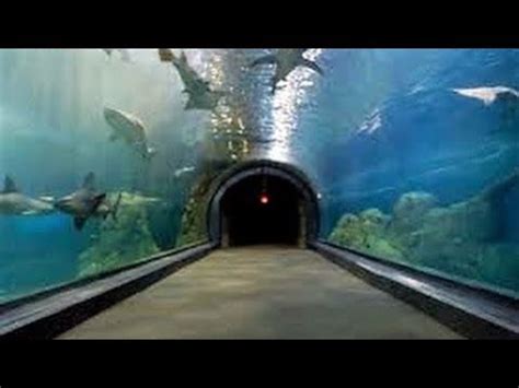 CAMDEN ADVENTURE AQUARIUM EXPERIENCE - NJ New Jersey Travel Tour Guide ...