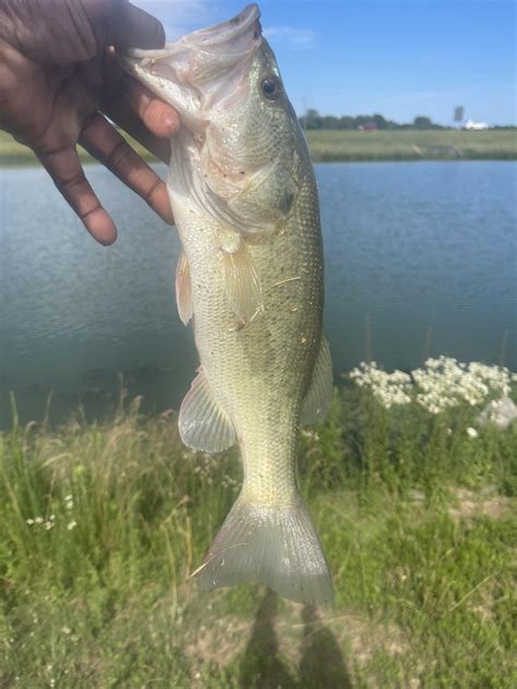 Bass Pro : r/bassfishing