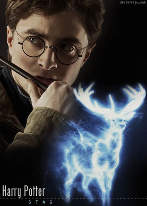 Patronus - Harry Potter Fan Art (31724477) - Fanpop