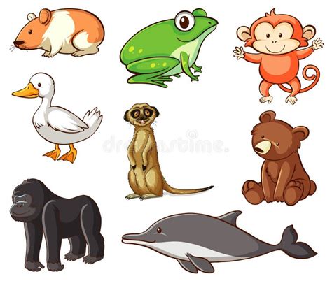 Large Set of Wildlife with Many Types of Land and Water Animals Stock Vector - Illustration of ...