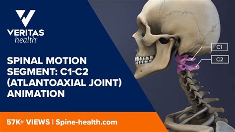 Spinal Motion Segment: C1-C2 (Atlantoaxial Joint) Animation - YouTube