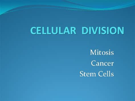 CELLULAR DIVISION Mitosis Cancer Stem Cells MITOSIS What