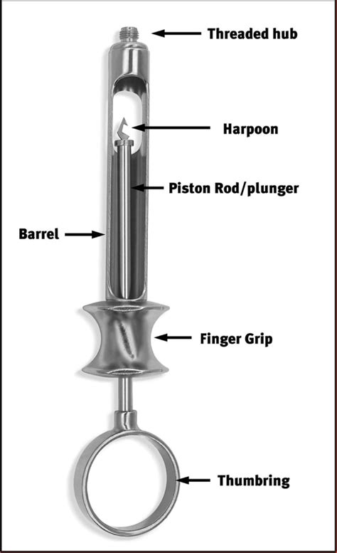 Anesthetic cartridge Dental Diagram | Quizlet