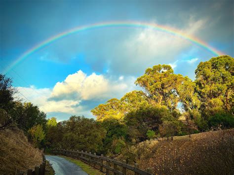 “Under The Rainbow” | East bay area, East bay, Under the rainbow